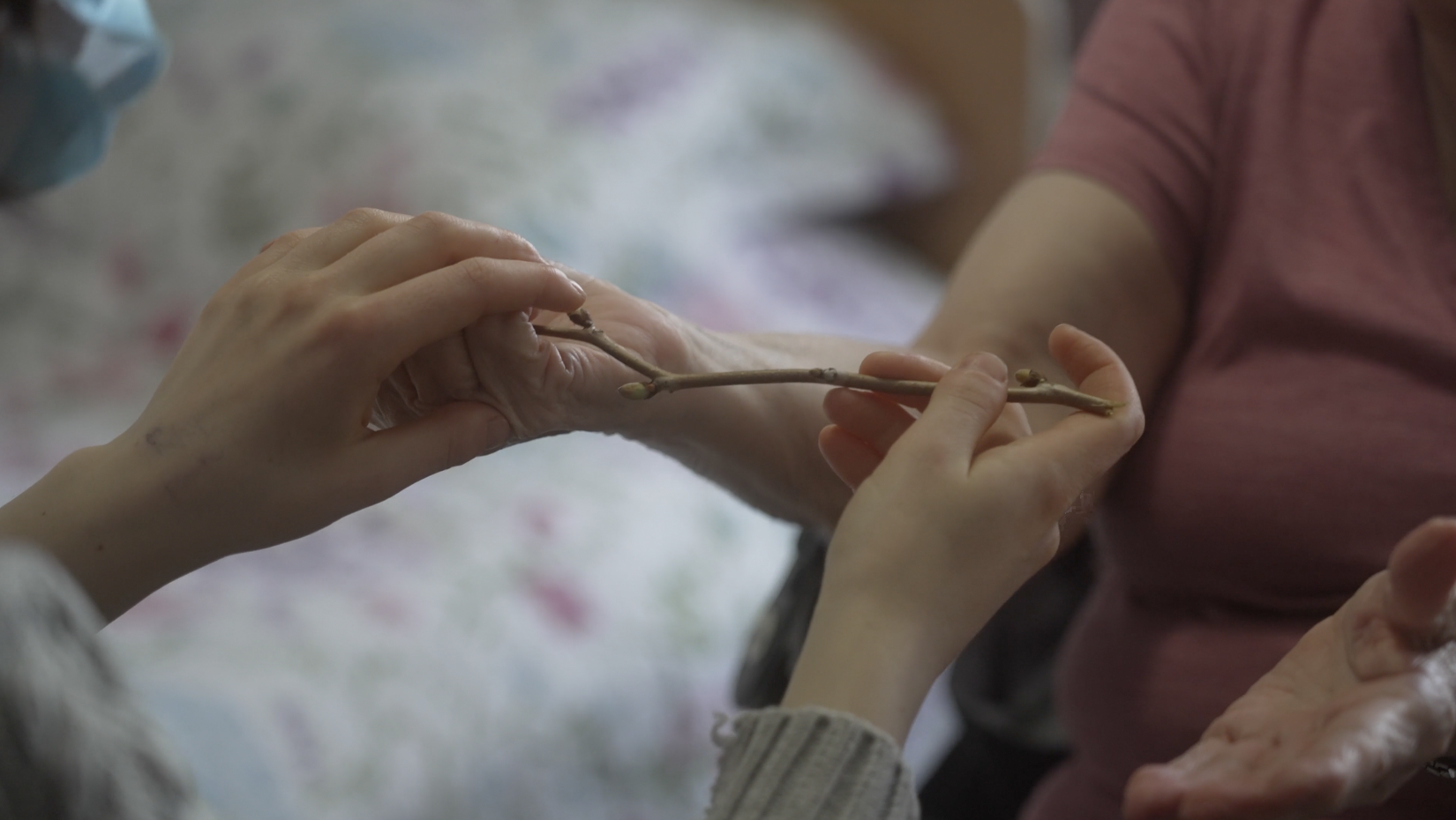 Camille Deslauriers Ménard