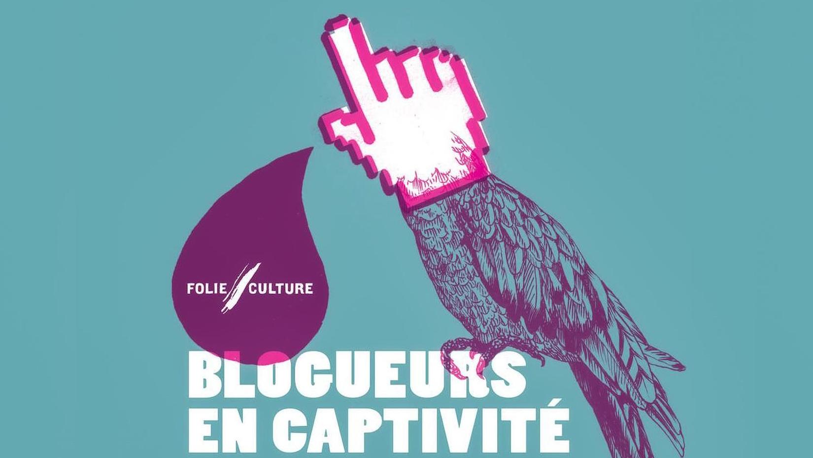 BLOGUEURS EN CAPTIVITÉ