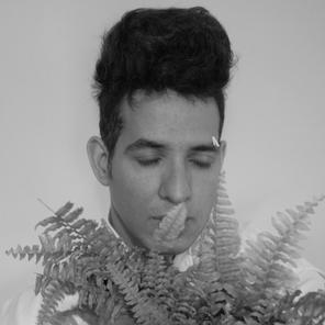 fernando belote