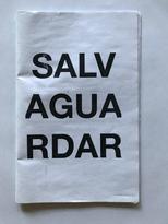 Salvaguardar _Pedregales de Santo Domingo / Coyoacán