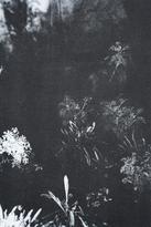 Le jardin d'après